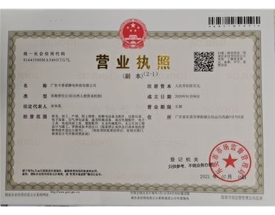 营业执照副本参考件